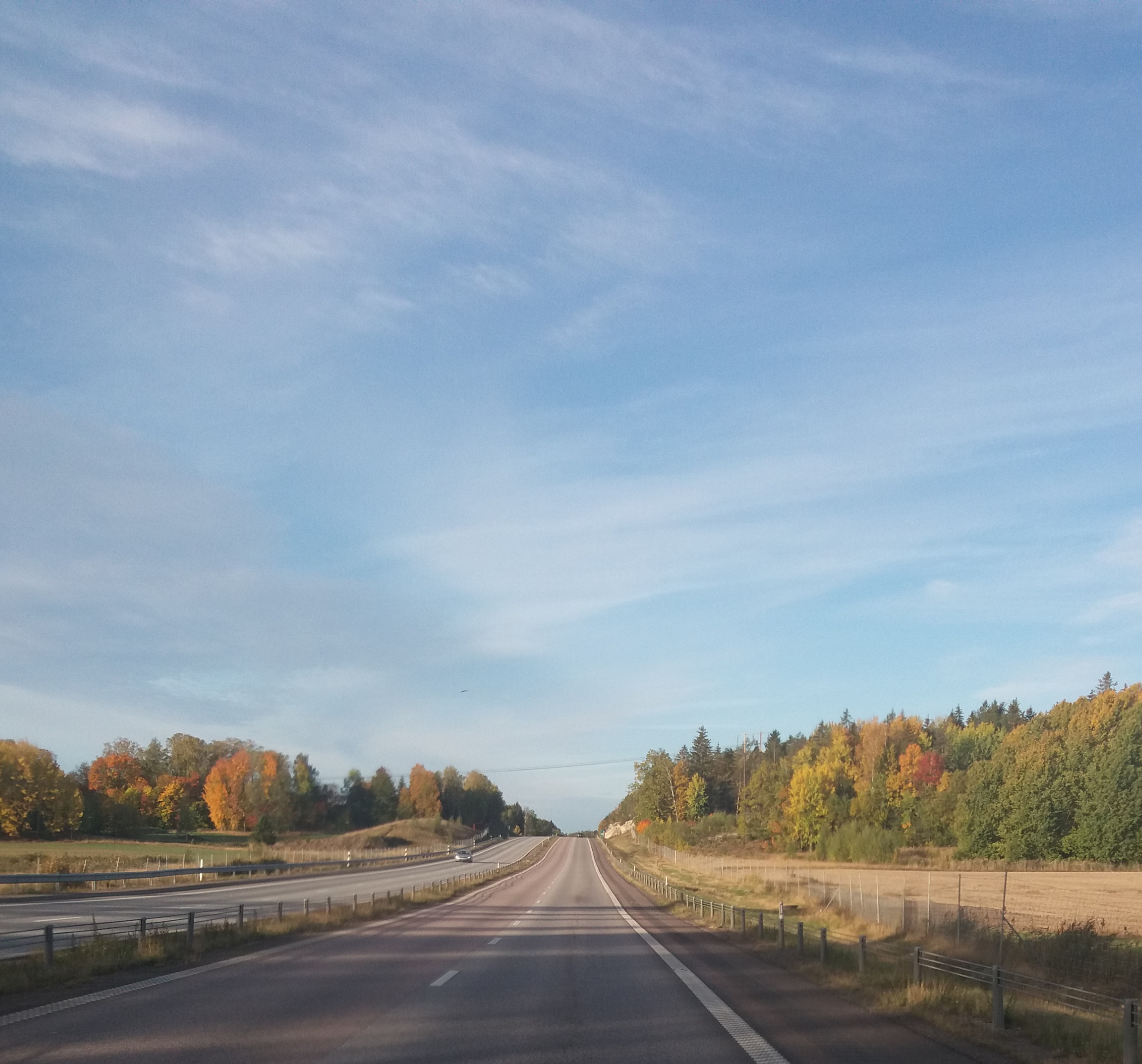 20181006_085457.jpg