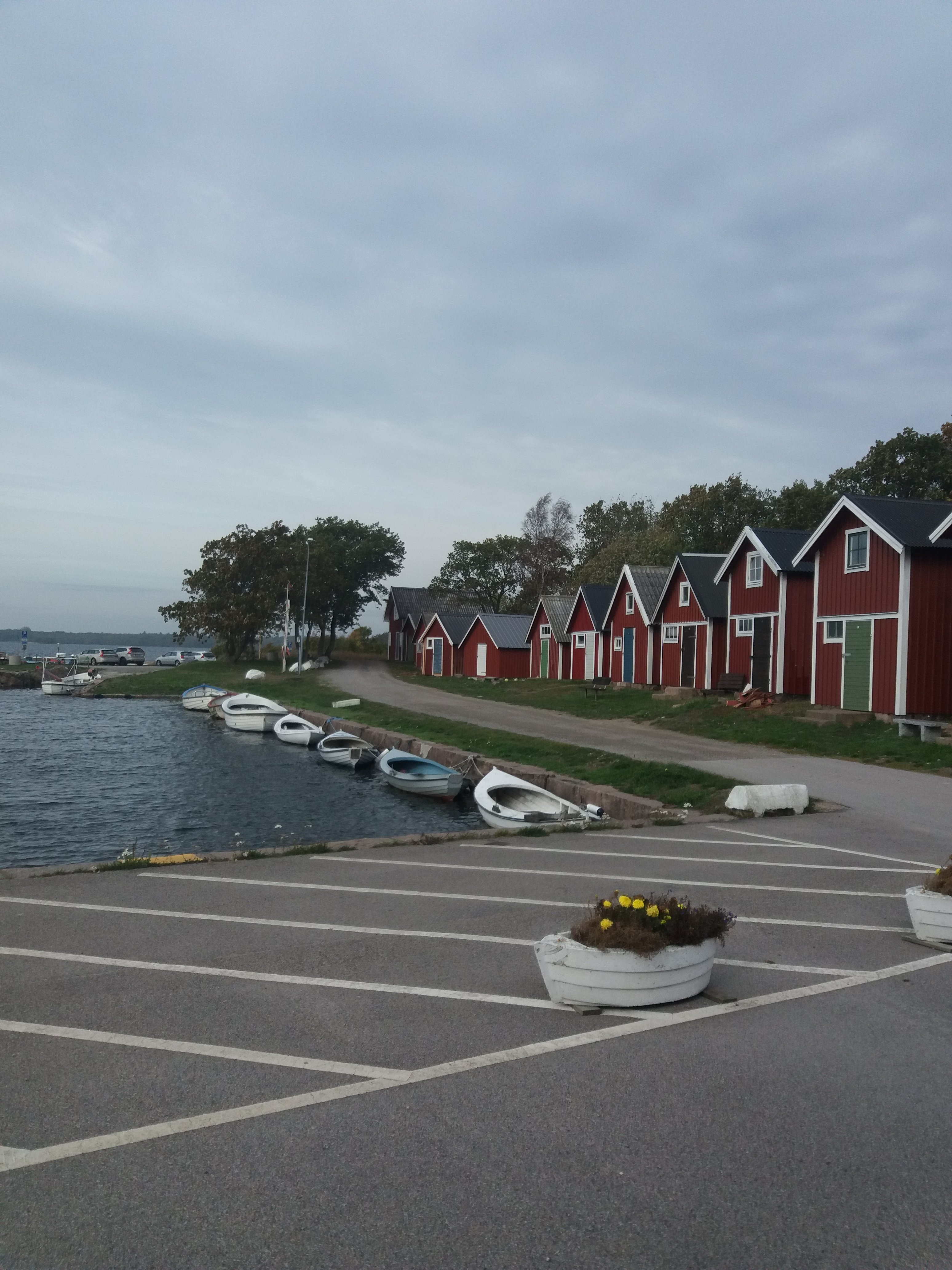 20181009_122658.jpg
