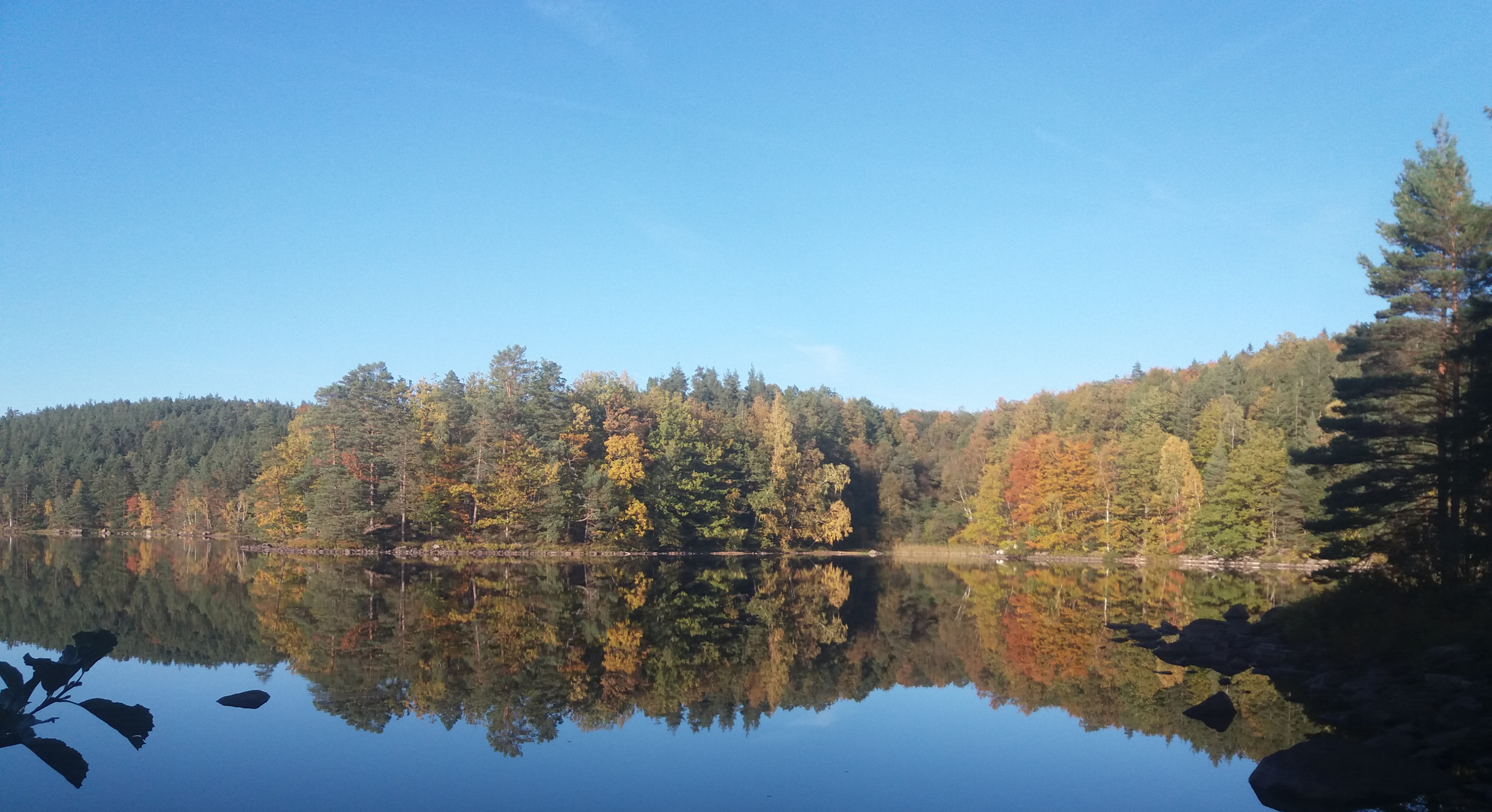 20181010_161618.jpg