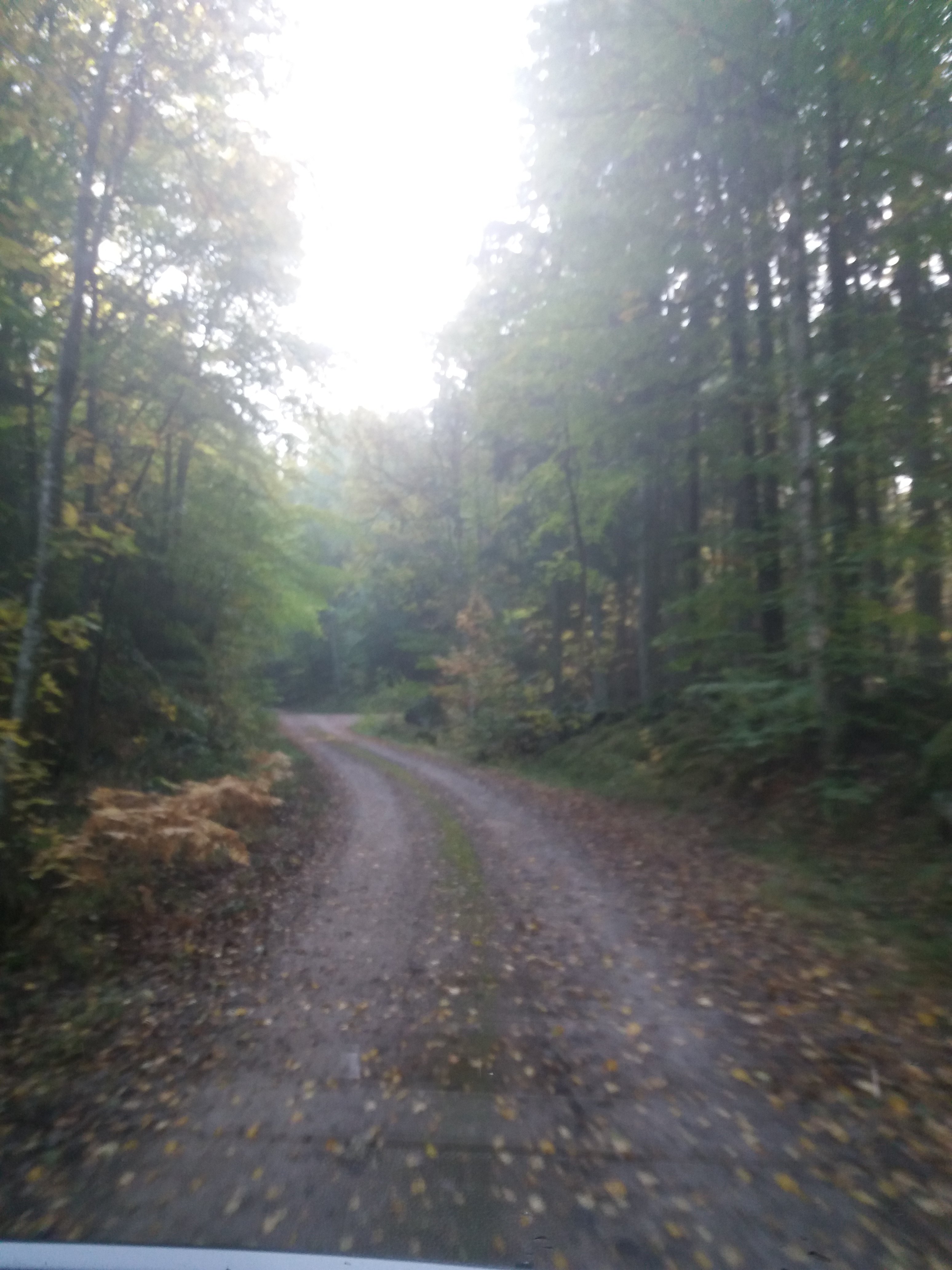 20181011_100245.jpg