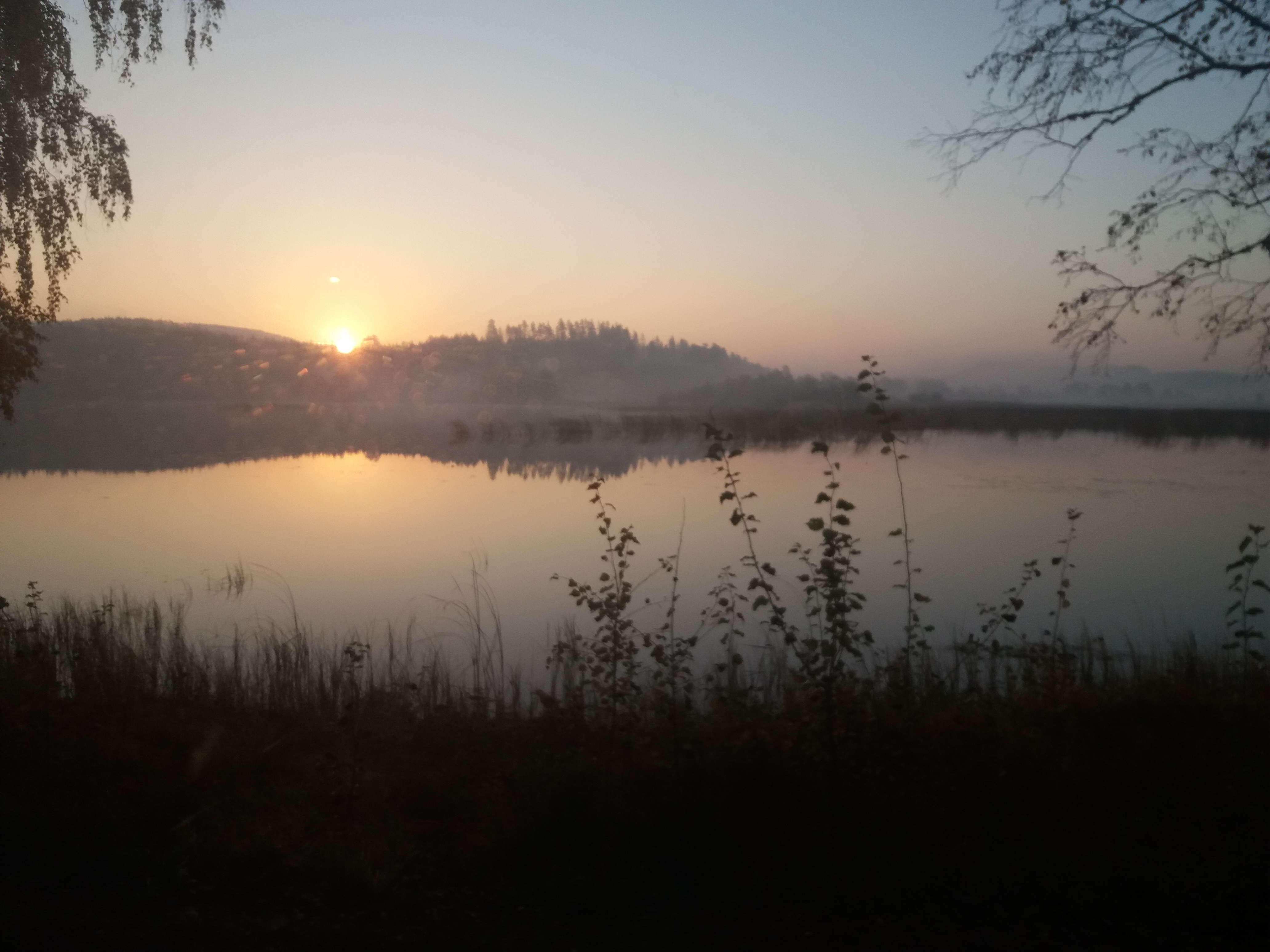 20181012_074929.jpg