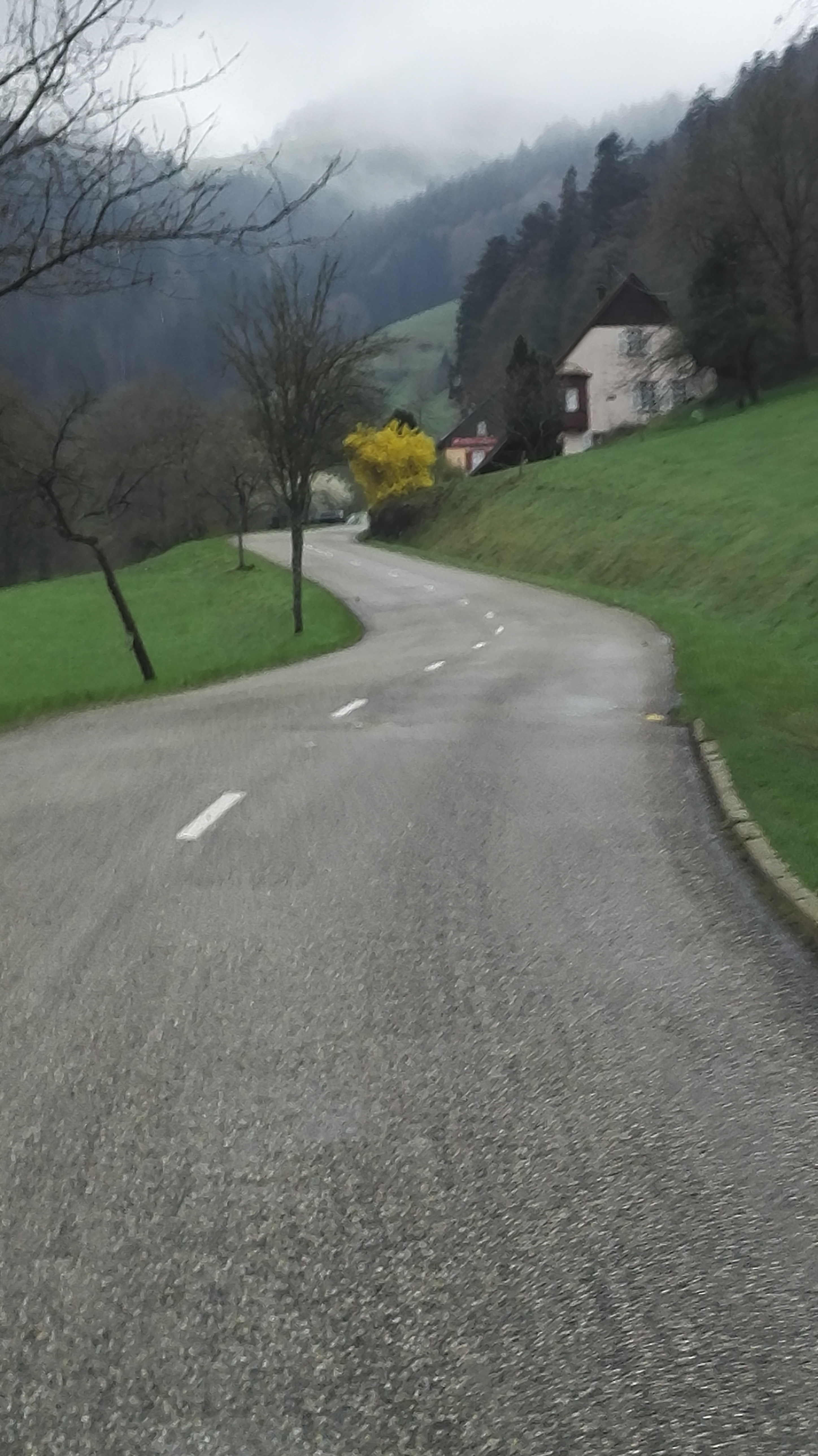 IMG_20190410_102707.jpg