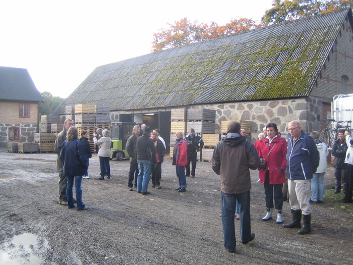 Äppelträffen I Kivik 2008