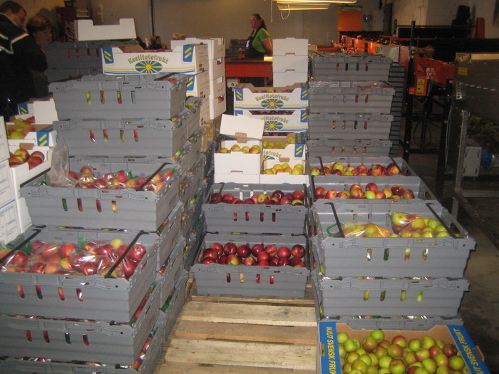Äppelträffen I Kivik 2008