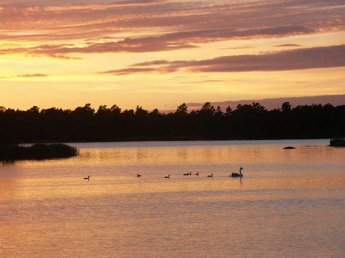 Åland 2008