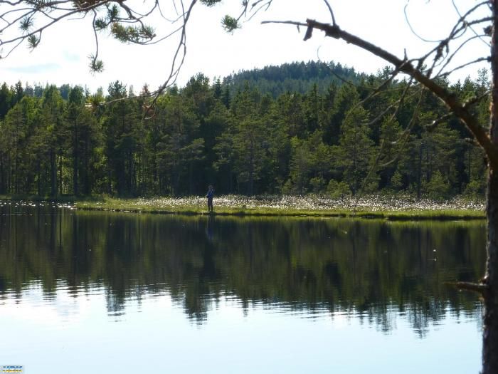 Åltjärn Trönö