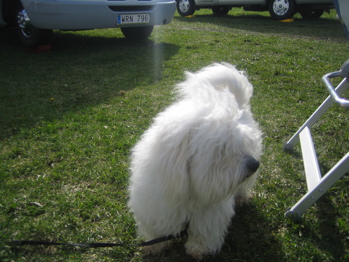 Årsmöteträff Ragglanda 2008