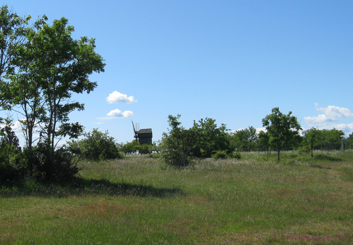 Öland Juni 09