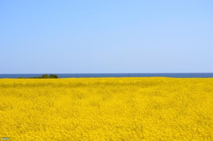 Öland