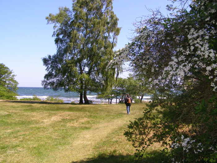 Österlen Maj 2008