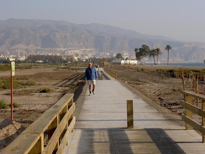 Övervingtring 1, Spanien