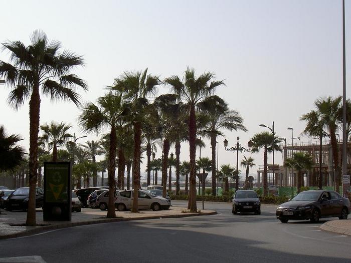 Övervingtring 1, Spanien