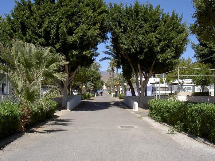Övervintring 1, Spanien