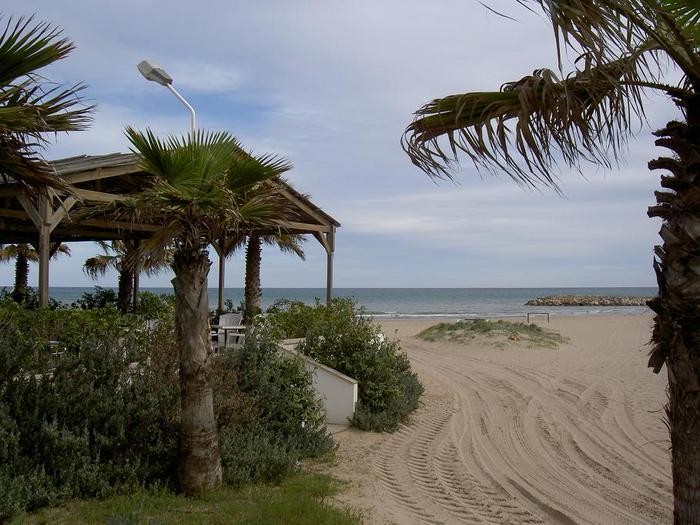 Övervintring 1, Spanien