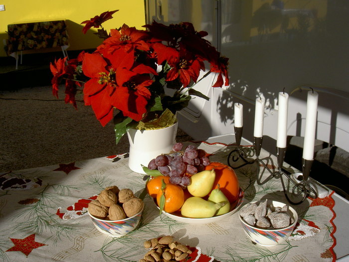 Övervintrresa2, 2008-2009