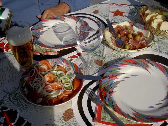 Övervintrresa2, 2008-2009