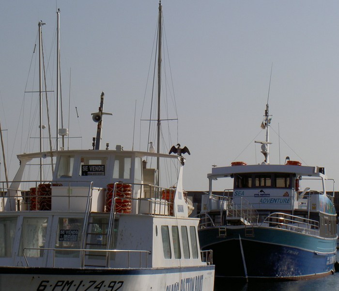 Övervintrresa2, 2008-2009