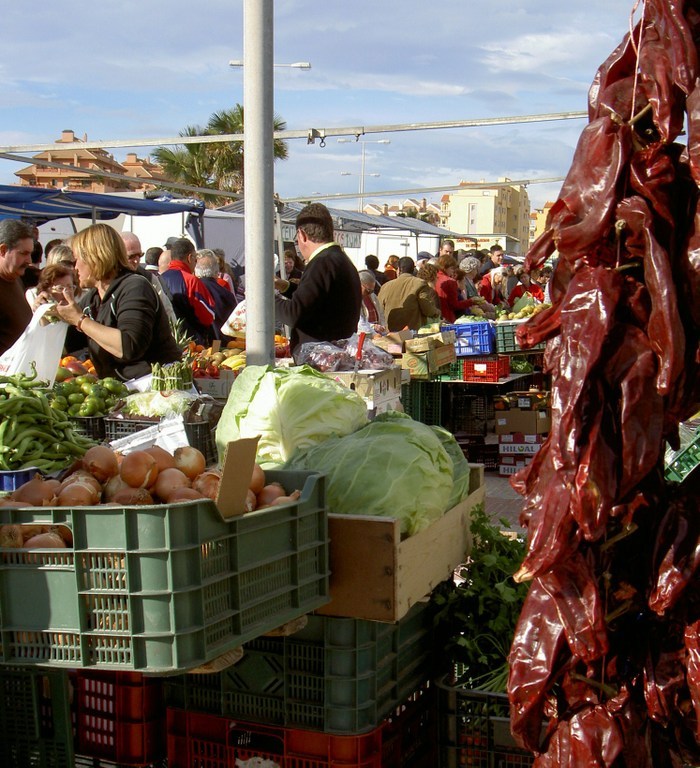 Övervintrresa2, 2008-2009