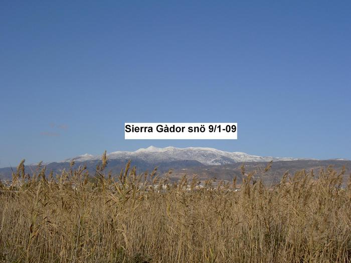 Övervintrresa2, 2008-2009