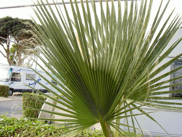 Övervintrresa2, 2008-2009