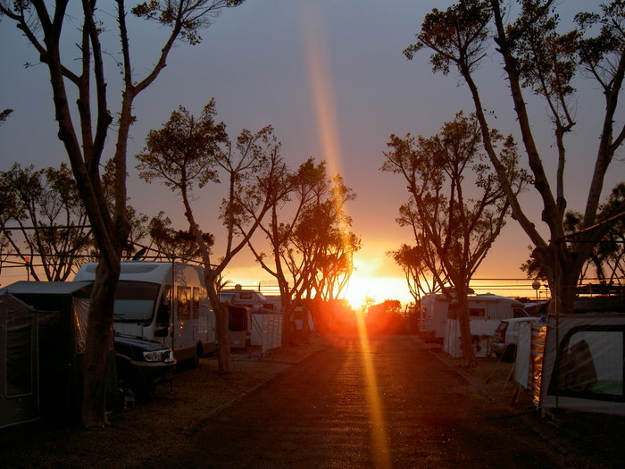 Övervintrresa2, 2008-2009