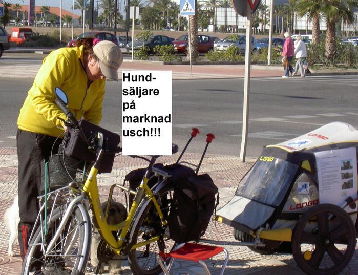 Övervintrresa2, 2008-2009