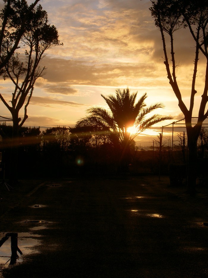 Övervintrresa2, 2008-2009