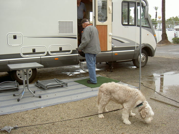 Övervintrresa2, 2008-2009