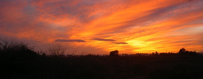 Övervintrresa2, 2008-2009