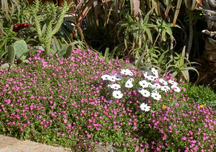 Övervintrresa2, 2008-2009