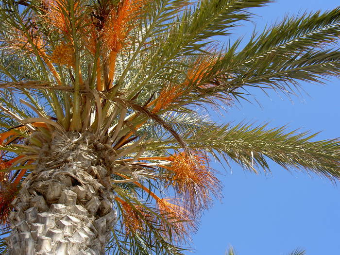 Övervintrresa2, 2008-2009