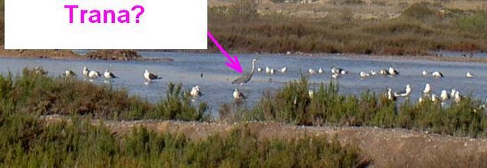 Övervintrresa2, 2008-2009