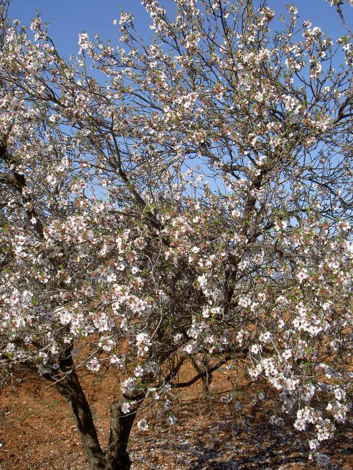 Övervintrresa2, 2008-2009