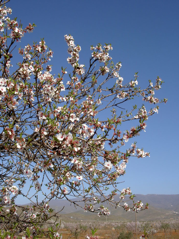 Övervintrresa2, 2008-2009