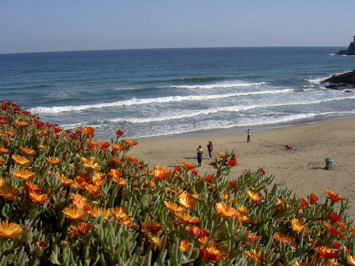 Övervintrresa2, 2008-2009