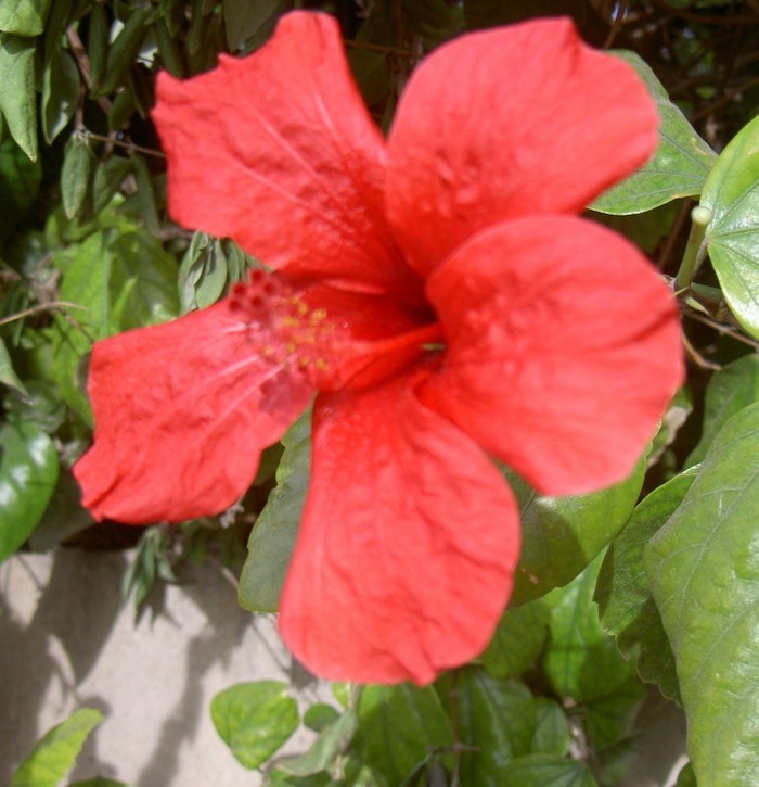 Övervintrresa2, 2008-2009