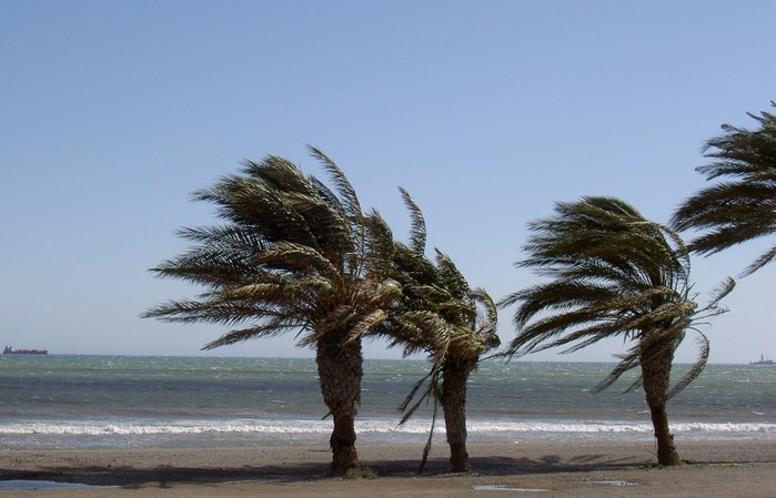 Övervintrresa2, 2008-2009