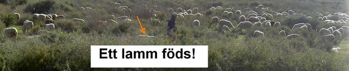 Övervintrresa2, 2008-2009