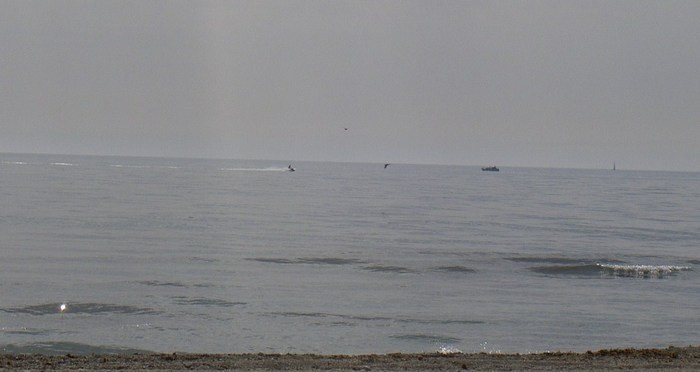 Övervintrresa2, 2008-2009