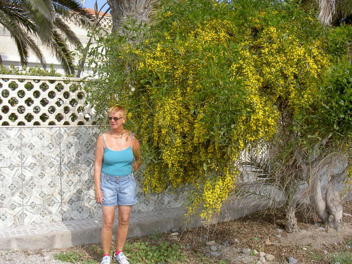 Övervintrresa2, 2008-2009