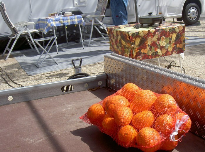 Övervintrresa2, 2008-2009