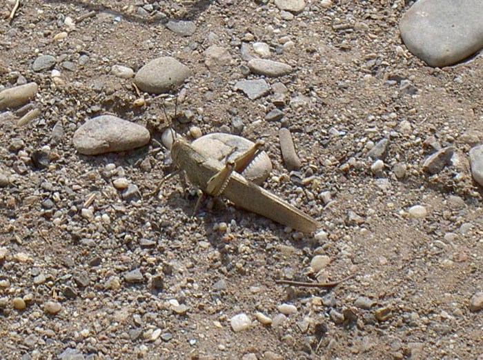 Övervintrresa2, 2008-2009