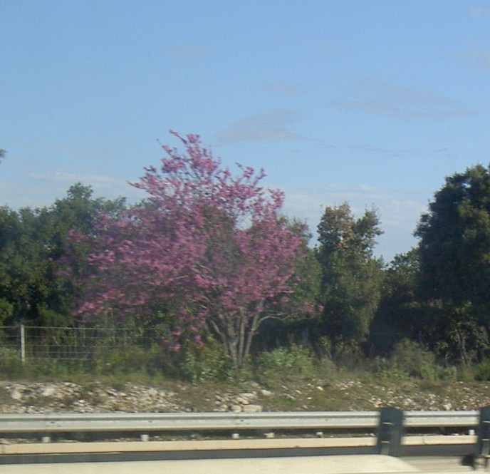 Övervintrresa2, 2008-2009