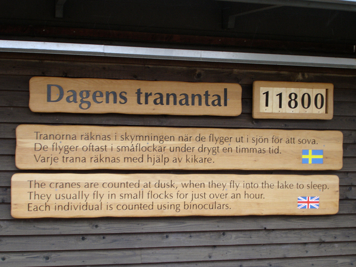 007 - Trandansen2008-3