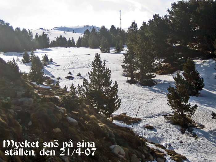 027 Mycket Sno