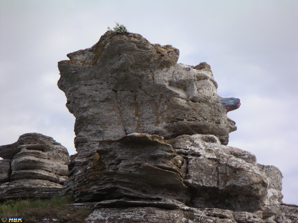 030608 Gotlandsresan