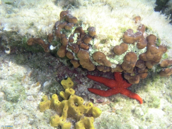 030918 Grekland, Meganesi