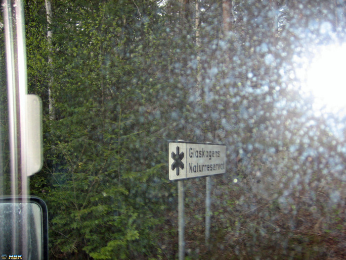 032. Delfin i Glaskogen