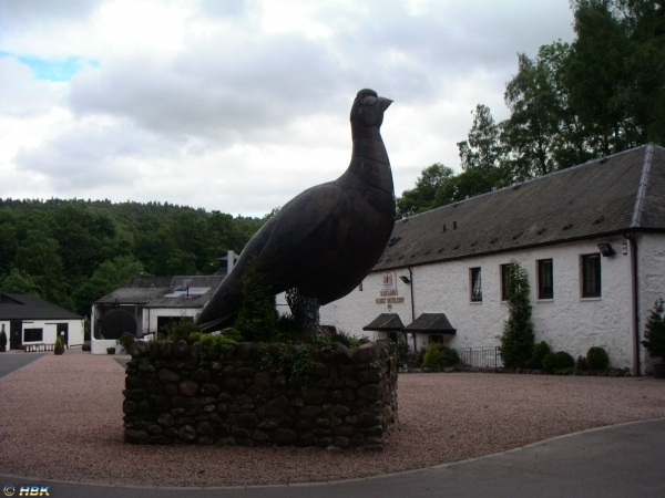 040612  Skottland, Crieff