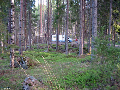 042. Delfin i Glaskogen